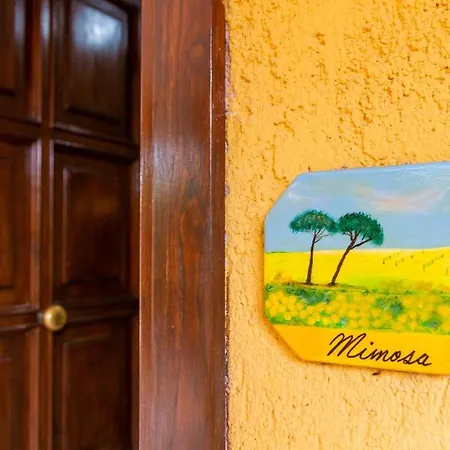 Mimosa *